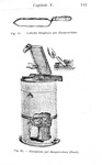 Giovanni Canestrini e Nincenzo Asprea - Apicoltua - Milano, Hoepli 1937 (con 55 illustrazioni) Giovanni Canestrini e Nincenzo Asprea - Apicoltua - Milano, Hoepli 1937 (con 55 illustrazioni)