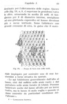 Giovanni Canestrini e Nincenzo Asprea - Apicoltua - Milano, Hoepli 1937 (con 55 illustrazioni) Giovanni Canestrini e Nincenzo Asprea - Apicoltua - Milano, Hoepli 1937 (con 55 illustrazioni)