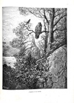 La Fontaine - Le favole - 1886 (prima edizione italiana - decine di illustrazioni di Gustave Dor�)