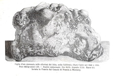 Guglielmo Jervis - Dell'oro in natura. La sua storia - Torino 1881 (prima edizione - figurato) Guglielmo Jervis - Dell'oro in natura. La sua storia - Torino 1881 (prima edizione - figurato)