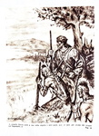 James Fenimore Cooper - L'ultimo dei mohicani - Roma, Belardetti 1945 (illustrazioni a tinta bistro)