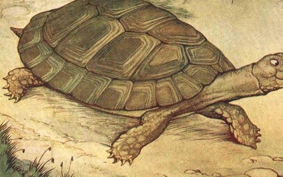 Esopo - Zeus e la tartaruga Esopo - Zeus e la tartaruga
