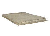 Marcantonio Maioragio - De senatu romano libellus - Milano 1561 (rara prima edizione postuma) Marcantonio Maioragio - De senatu romano libellus - Milano 1561 (rara prima edizione postuma)