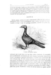 Charles Darwin - Variazione degli animali e delle piante - Torino 1876 (prima edizione italiana) Charles Darwin - Variazione degli animali e delle piante - Torino 1876 (prima edizione italiana)