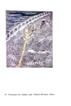 Eugenio Montale - Pastelli e disegni - Milano, Scheiwiller, 1966 (esemplare nr. 171 - figurato) Eugenio Montale - Pastelli e disegni - Milano, Scheiwiller, 1966 (esemplare nr. 171 - figurato)
