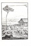 Vittorio Alfieri -  Il Misogallo. Prose e rime - Londra (ma Pisa) - 1799 (rara prima edizione)