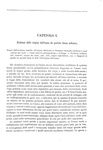 Charles Darwin - L�origine dell'uomo e la scelta in rapporto col sesso - Torino 1888 (con 76 figure) Charles Darwin - L�origine dell'uomo e la scelta in rapporto col sesso - Torino 1888 (con 76 figure)