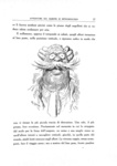 Rudolf Erich Raspe - Avventure del barone di Munchausen illustrate da Gustave Dor� - inizi Novecento Rudolf Erich Raspe - Avventure del barone di Munchausen illustrate da Gustave Dor� - inizi Novecento