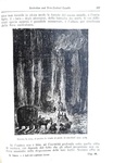 Verne - I figli del capitano Grant. Viaggio intorno al mondo - Milano 1930 (decine di illustrazioni)