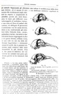 Charles Darwin - Variazione degli animali e delle piante - Torino 1876 (prima edizione italiana) Charles Darwin - Variazione degli animali e delle piante - Torino 1876 (prima edizione italiana)