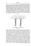 Darwin - Le diverse forme dei fiori in piante della stessa specie - 1884 (prima edizione italiana) Darwin - Le diverse forme dei fiori in piante della stessa specie - 1884 (prima edizione italiana)