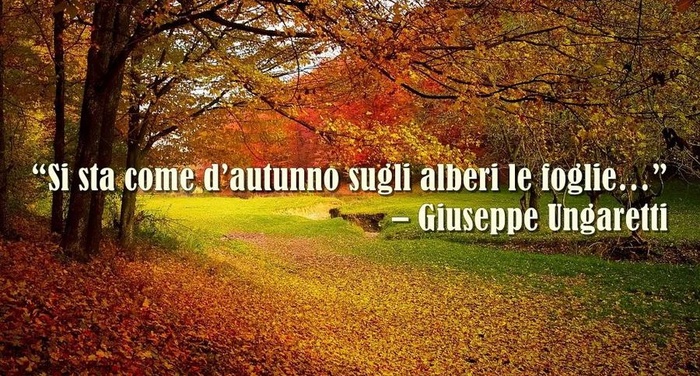 Perch� in questi giorni "si sta come d?autunno sugli alberi le foglie" Perch� in questi giorni "si sta come d?autunno sugli alberi le foglie"