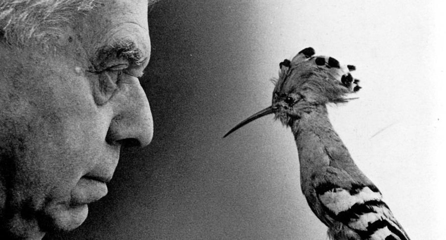 Eugenio Montale - Spesso il male di vivere ho incontrato Eugenio Montale - Spesso il male di vivere ho incontrato