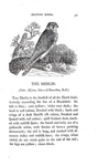 Thomas Bewick - History of british birds - 1797/1804 (prima edizione - con decine di illustrazioni)